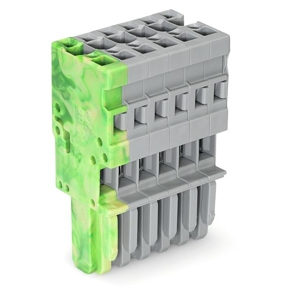 1-conductor female connector CAGE CLAMP® 4 mm² gray, green-yellow image 1