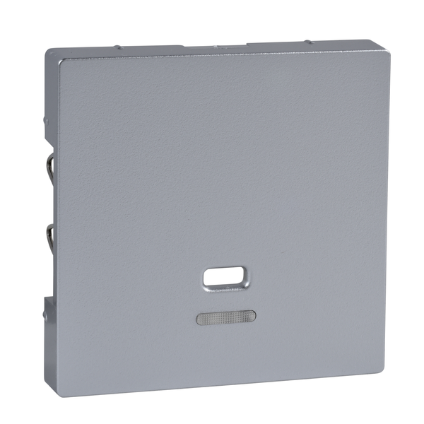 Central plate with indicator window for pull-cord switch, aluminium, System M image 4