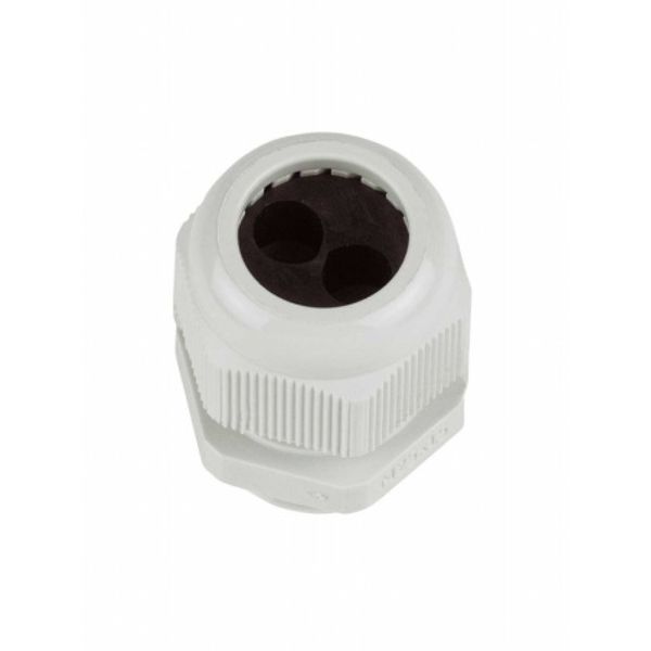 IP44 data outlet cable gland M25 for 2 cables 3 - 8mm image 1