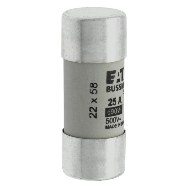 Fuse-link, LV, 25 A, AC 690 V, 22 x 58 mm, gL/gG, IEC image 11