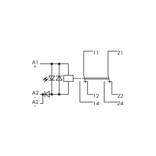 Relay module with driven contacts Nominal input voltage: 24 VDC 2 chan image 7