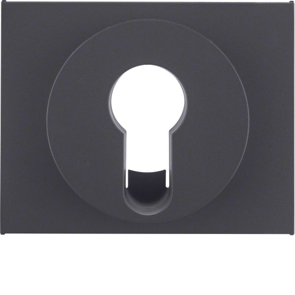 Centre plate for key switch/key push-button, K.1, ant. matt, lacq. image 1