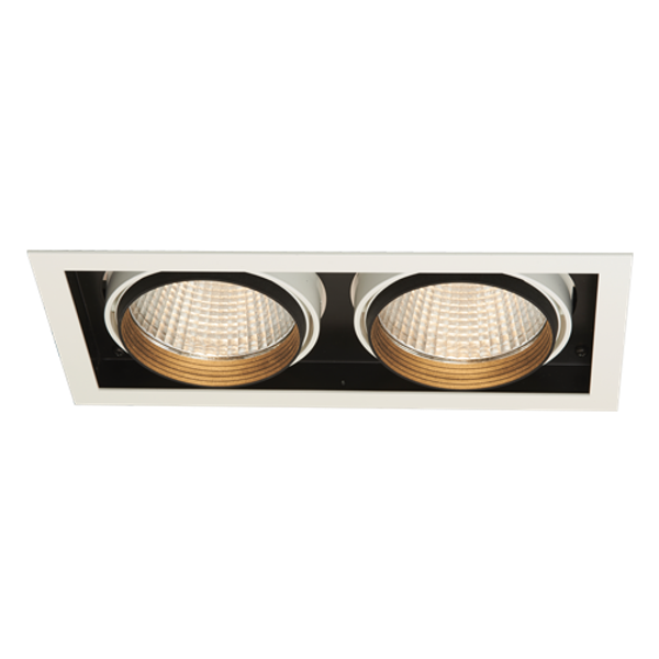 Unity Rectangular 2 Downlight DSI image 1