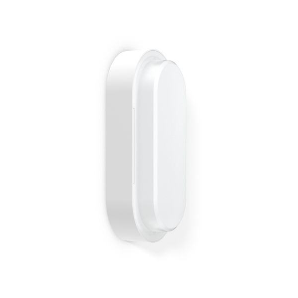 HB 710, 6 / 9,5 W, 700 / 1100 lm, 840, white, on/off Oval bulkhead lum image 2