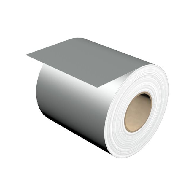 Device marking, Endless, Self-adhesive, 30000 x Polyester, silver image 2