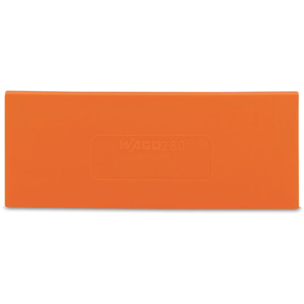 Separator plate 2 mm thick oversized orange image 1