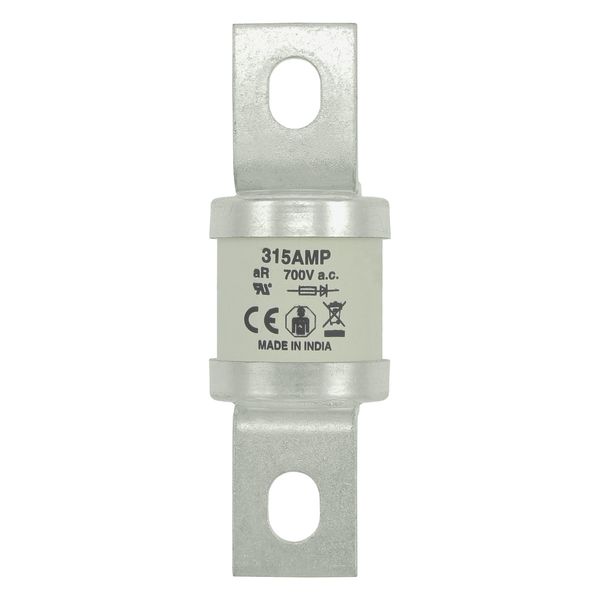 5.5KV 125E BHLE FUSE image 23