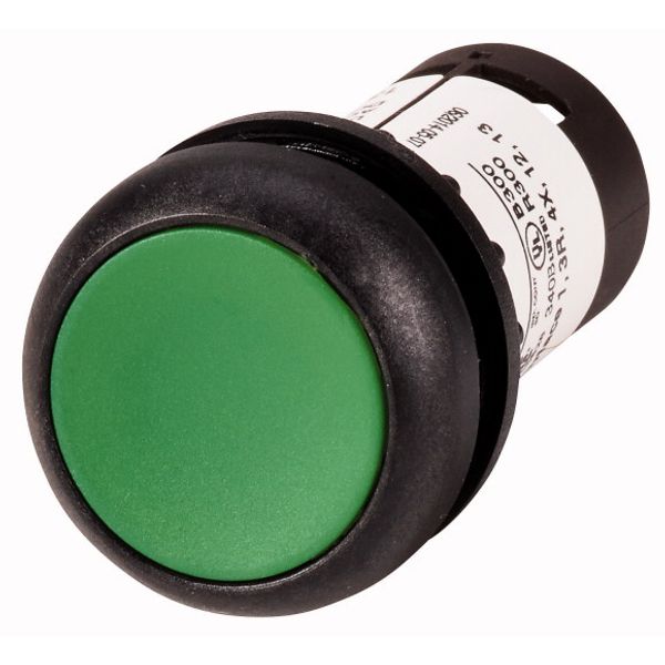 Pushbutton, Flat, maintained, 1 NC, 1 N/O, Screw connection, green, Blank, Bezel: black image 1