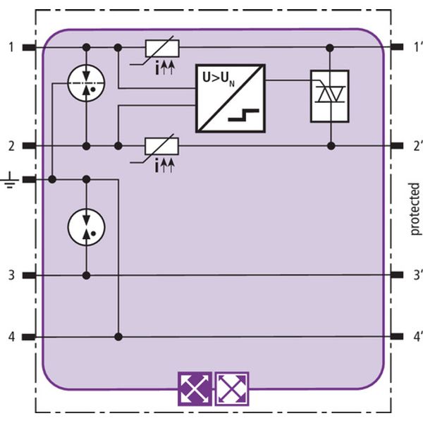 BLITZDUCTOR XTU combined lightning current and surge arrester module image 3