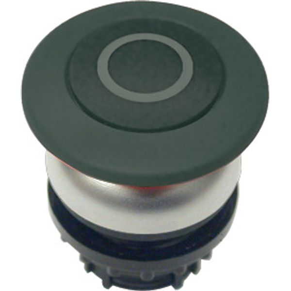 Mushroom actuator, RMQ-Titan, Mushroom, maintained, Mushroom black, black, inscribed, Bezel: titanium image 1