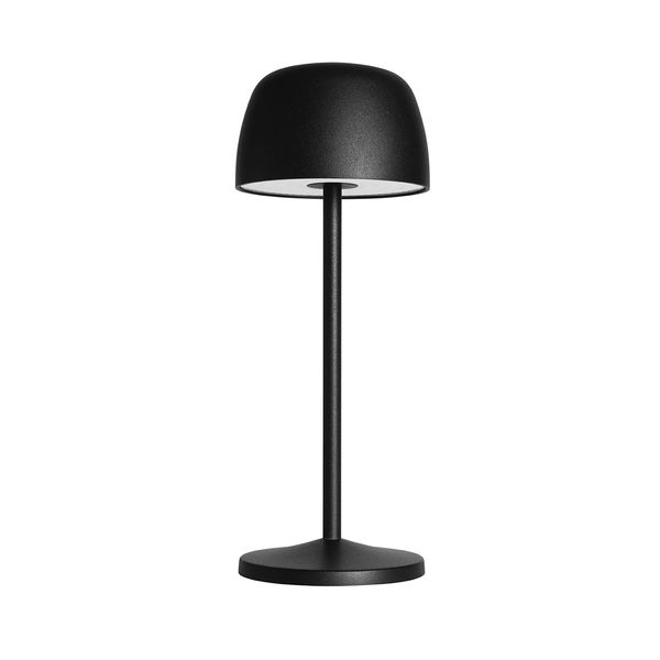 Table lamp IP54 TRETA LED 2 SW 2700-4000K Black 250 image 1