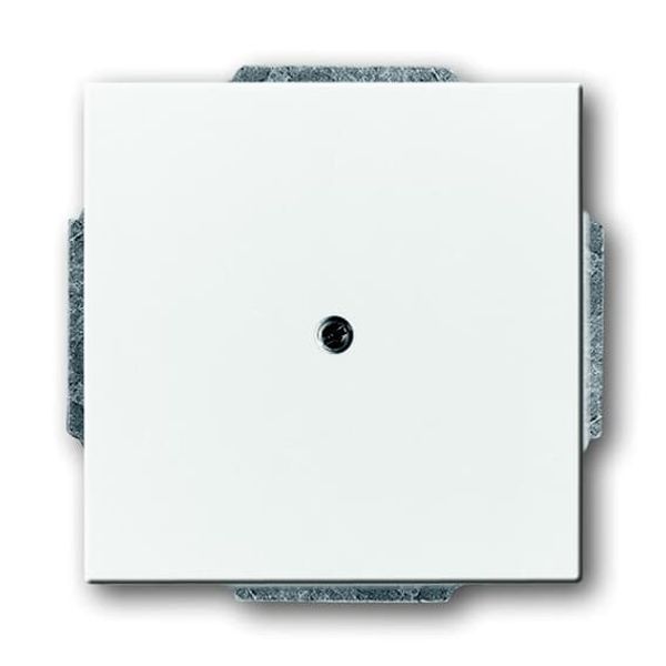 1742-84-500 CoverPlates (partly incl. Insert) future®, Busch-axcent®, solo®; carat® Studio white image 1