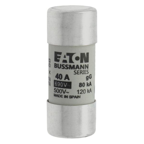 Fuse-link, LV, 40 A, AC 690 V, 22 x 58 mm, gL/gG, IEC image 16