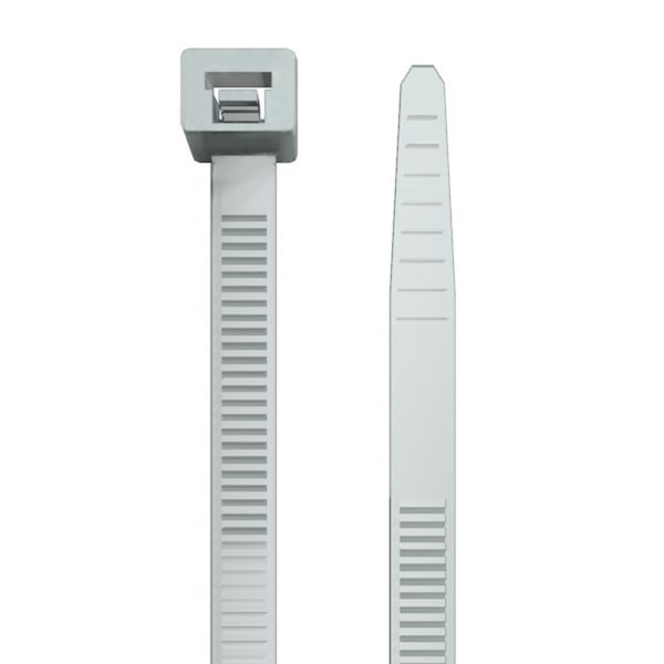 Cable tie, 4.8 mm, Polyamide 66, 220 N, Natural image 2