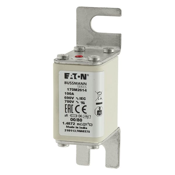 Fuse-link, high speed, 100 A, AC 690 V, DIN 00, 30 x 51 x 100 mm, aR, DIN, IEC, single indicator image 20