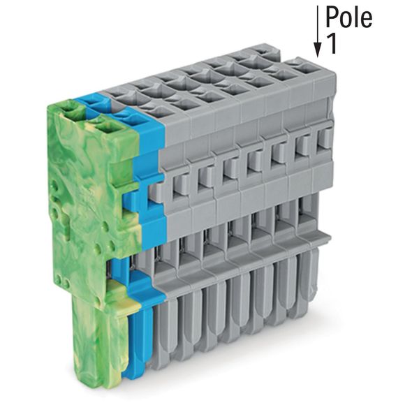 1-conductor female connector CAGE CLAMP® 4 mm² gray/blue/green-yellow image 2