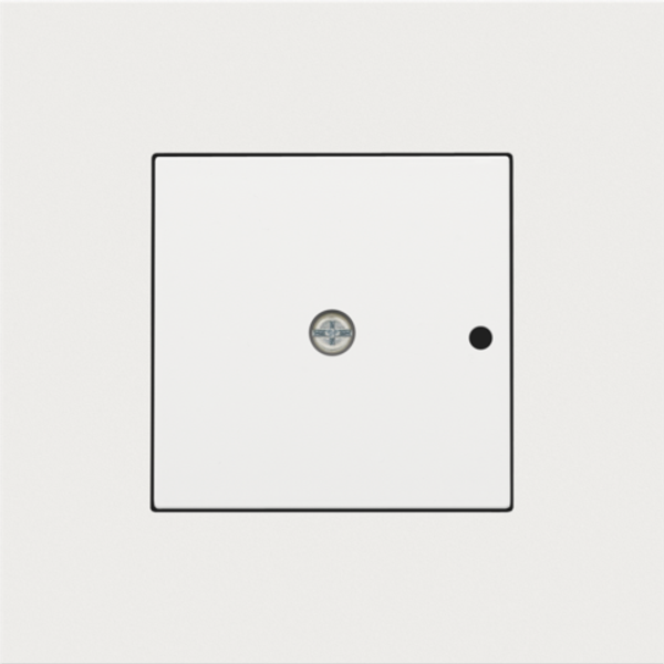 Finishing set for a 1-channel flush-mounting RF receiver with single-p image 1