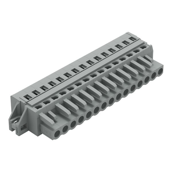 1-conductor female connector CAGE CLAMP® 2.5 mm² gray image 1