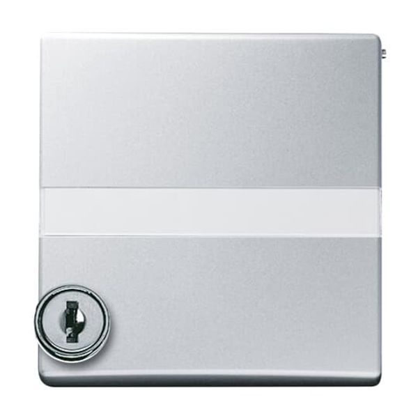 2118 GKSLN/11-34 CoverPlates (partly incl. Insert) Flush-mounted, water-protected, special connecting devices Alpine white image 4