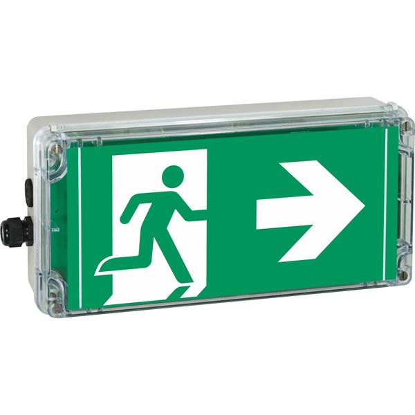 Ex-escape sign luminaires EXIT 2 V-CG-S for zone 2/22, Pictogram: DIN ISO 7010, Arrow: 3 Clock image 8