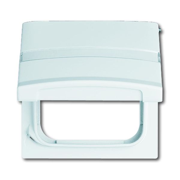 2118 GKN-32 CoverPlates (partly incl. Insert) Flush-mounted, water-protected, special connecting devices White image 1