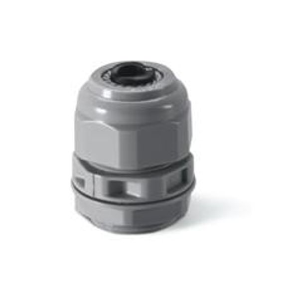 CABLE GLAND PG21  HEAVY DUTY image 1