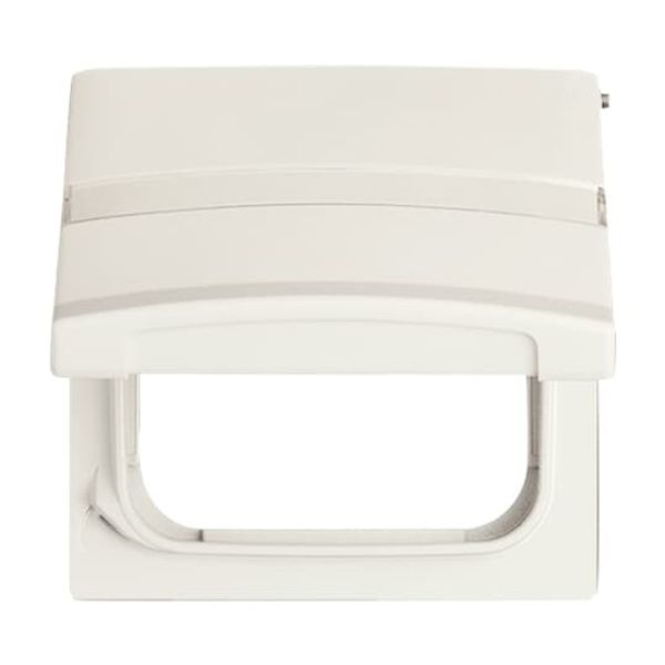 2118 GKSL-32 CoverPlates (partly incl. Insert) Flush-mounted, water-protected, special connecting devices White image 4