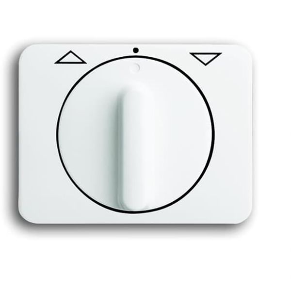 1740 DR-24G CoverPlates (partly incl. Insert) carat® Studio white image 1