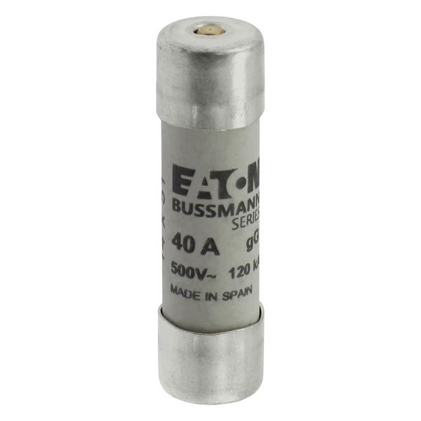 Fuse-link, LV, 40 A, AC 500 V, 14 x 51 mm, gL/gG, IEC, with striker image 10