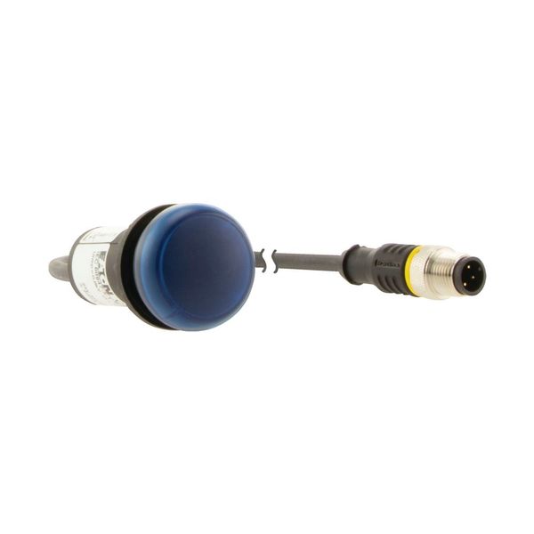 Indicator light, Flat, Cable (black) with M12A plug, 4 pole, 0.2 m, Lens Blue, LED Blue, 24 V AC/DC image 16