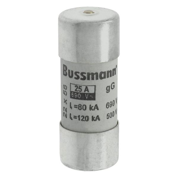 Fuse-link, LV, 25 A, AC 690 V, 22 x 58 mm, gL/gG, IEC, with striker image 14