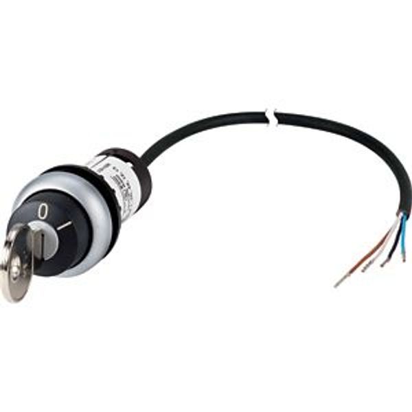 Key-operated actuator, RMQ compact solution, momentary, 1 NC, 1 N/O, Cable (black) with non-terminated end, 4 pole, 1 m, 2 positions, MS1, Bezel: tita image 5