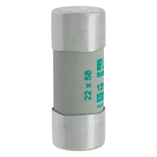 Fuse-link, LV, 125 A, AC 400 V, 22 x 58 mm, aM, IEC image 13