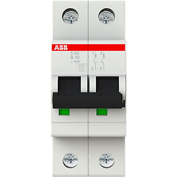 S202-B40 Miniature Circuit Breaker - 2P - B - 40 A image 2