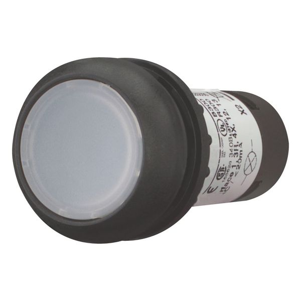 Illuminated pushbutton actuator, Flat, momentary, 1 N/O, Screw connection, LED white, White, Blank, 120 V AC, Bezel: black image 11