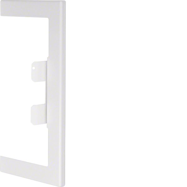Wall cover plate for BRS 85x170mm lid 80mm of sheet steel in pure whit image 1
