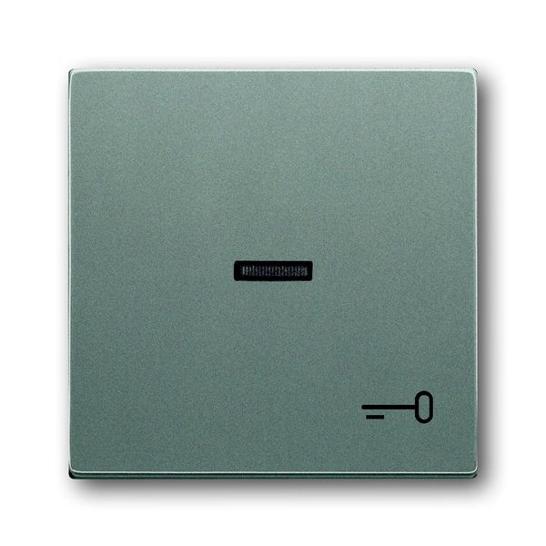 1789 TR-803 CoverPlates (partly incl. Insert) Busch-axcent®, solo® grey metallic image 1