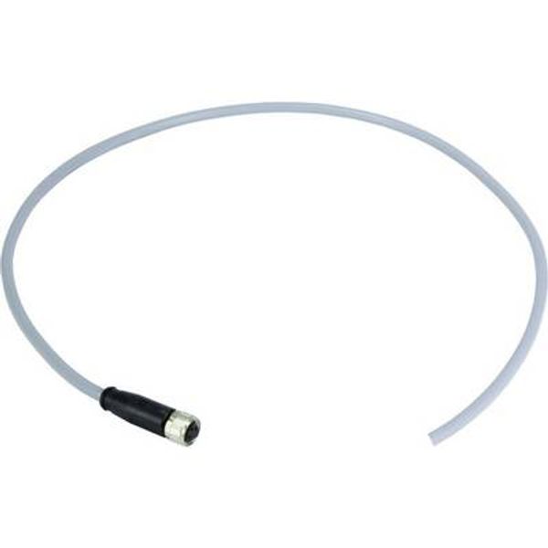 M8 Cable Assembly 3-poles st/- f/- 5,0m image 1