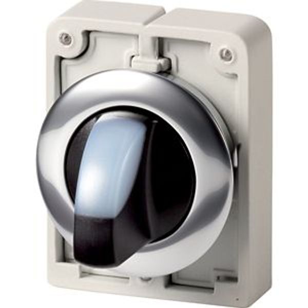 Illuminated selector switch actuator, RMQ-Titan, With thumb-grip, momentary, 3 positions, White, Metal bezel image 4