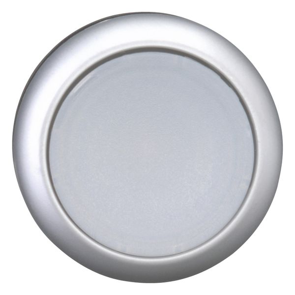 Illuminated pushbutton actuator, RMQ-Titan, Flush, momentary, White, Blank, Bezel: titanium image 10