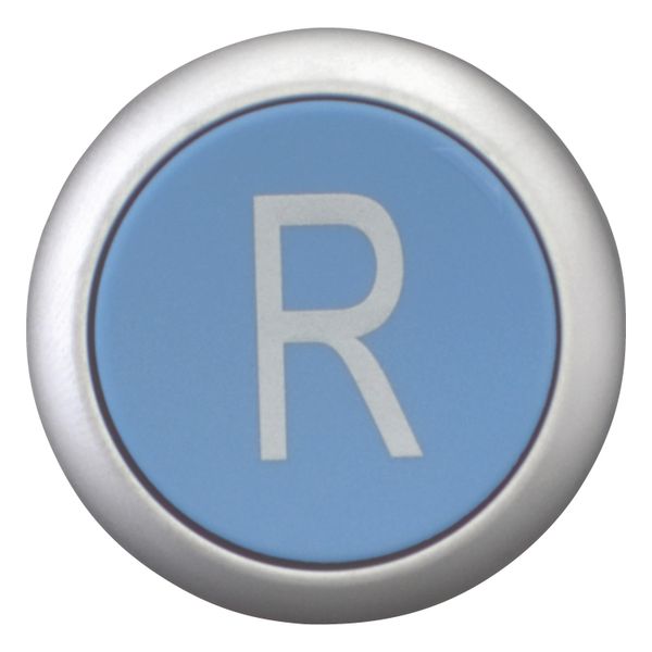 Release pushbutton, blue, R image 10