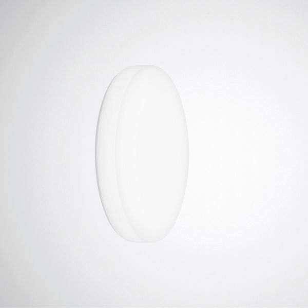 Wall and ceiling luminaire Olisq R Diffuser White around ET 35W 5000lm Lambertian (L) IP54 IK03 3 SDCM image 1