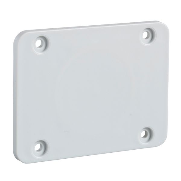 65 x 85 mm plate - for 50 x 50 mm outlet image 1