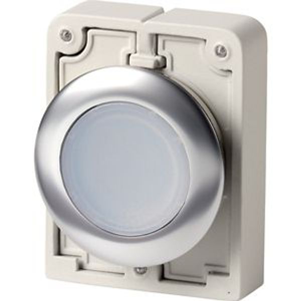 Illuminated pushbutton actuator, RMQ-Titan, flat, momentary, White, blank, Front ring stainless steel image 2