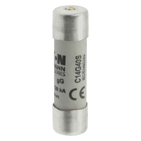 Fuse-link, LV, 40 A, AC 500 V, 14 x 51 mm, gL/gG, IEC, with striker image 22