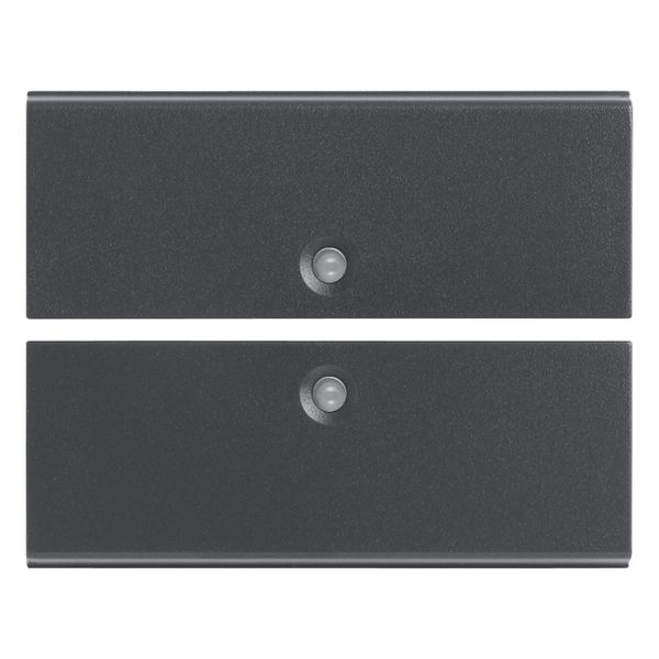 Two half-buttons 2M w/o symbol grey image 1