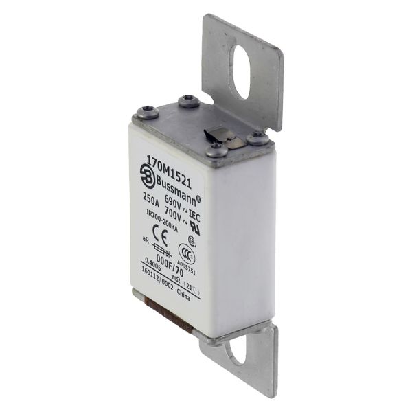 Fuse-link, high speed, 250 A, AC 690 V, size 000, 24 x 36 x 96 mm, aR, IEC, visual indicator image 7