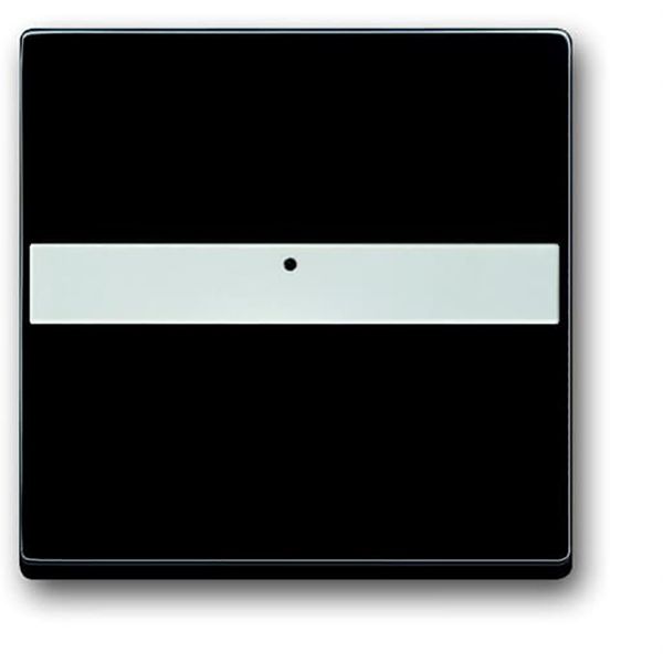 1764 NLI-885 CoverPlates (partly incl. Insert) future®, Busch-axcent®, carat® black matt image 1