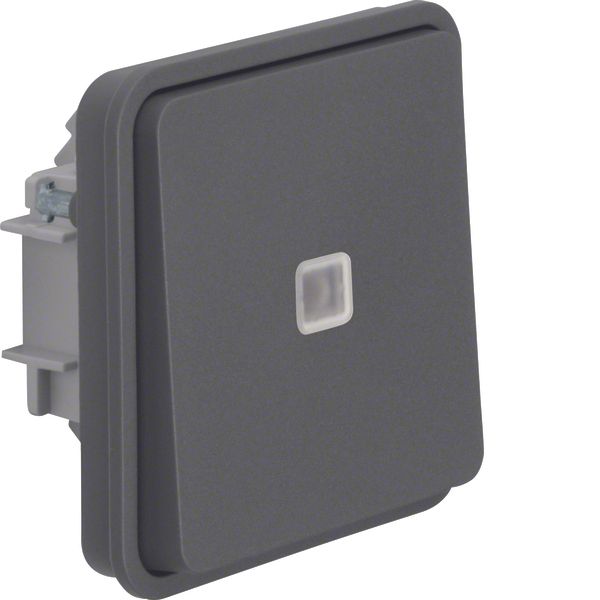 Control change-over switch insert with rocker, W.1, grey image 1