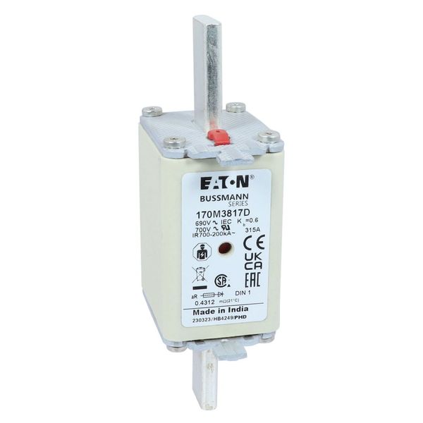 Fuse-link, high speed, 315 A, AC 690 V, DIN 1, aR, DIN, IEC, dual indicator, live gripping lugs image 20